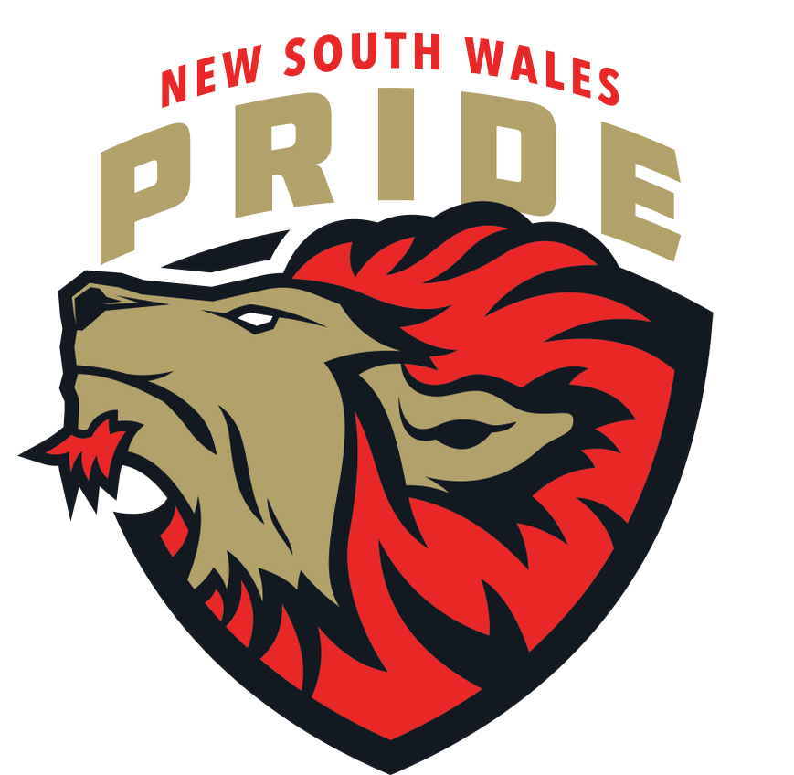 nsw pride logo 3