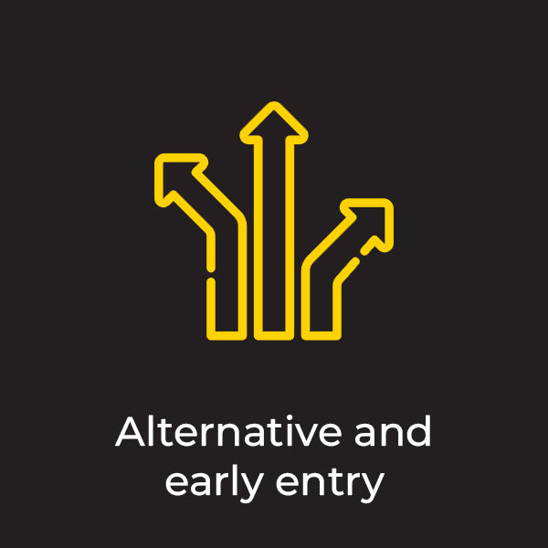 Entry pathway alternative and early entry category icon 1